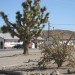 nevada