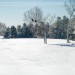 winter1