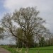 DSC02792