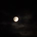 DSC03330