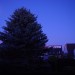 DSC04320