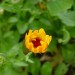 DSC05631