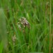 DSC05707