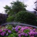 DSC06305