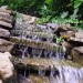 DSC06311