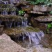 DSC06315