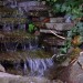 DSC06326