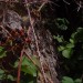 DSC06270