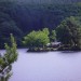 DSC06282