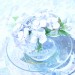 DSC06554