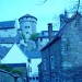 DSC02940