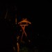 DSC03327