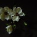 DSC04829