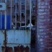 DSC08419-sk