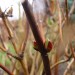 DSC08509