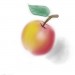 Apfel