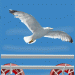 moeve_letze
