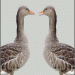 tierisch gut 3