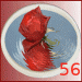 flicken_56rose
