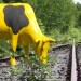 die kuh auf dem gleis