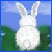 hase