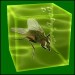 aquarium m fliege