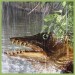 fisch wasser montage