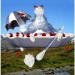 eisschale_matterhorn2