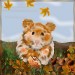 hamster fertig1