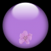 glasbutton4.1