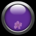 glasbutton6.1.1