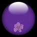 glasbutton6.1
