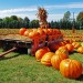 herbsttraum