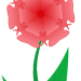 blume_rot_rosa_gruen-ziegenkind