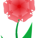 blume_rot_rosa_gruen_rand-ziegenkind