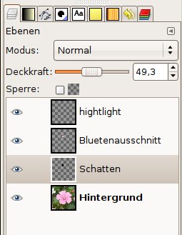 bild6