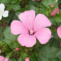 bild5