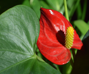 Gewinnerbild im Foto-Wettbewerb