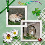 Scrap-Challenge Platz 1