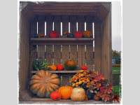 Foto-Wettbewerb im Oktober in der GIMP-Werkstatt Platz 1 von Alias Grace