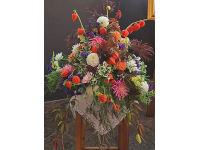 Foto-Wettbewerb im Oktober in der GIMP-Werkstatt Platz 1 von Raphaela