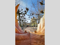 Foto-Wettbewerb im November in der GIMP-Werkstatt Platz 1 von Enzo Lambrusco