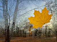 Foto-Wettbewerb im November in der GIMP-Werkstatt Platz 3 von Schimmeline