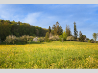 Foto-Wettbewerb im April in der GIMP-Werkstatt Platz 3 von Stift