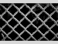 Foto-Wettbewerb im Januar in der GIMP-Werkstatt Platz 1 von alias grace