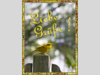 Werkstattbild-Wettbewerb Platz 1 im Dezember von alex