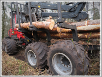 Foto-Wettbewerb im Februar in der GIMP-Werkstatt Platz 2 von bertholdsw