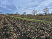 Foto-Wettbewerb im Februar in der GIMP-Werkstatt Platz 2 von alex