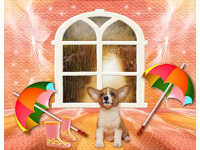 Werkstattbild-Wettbewerb Platz 1 im März von ava