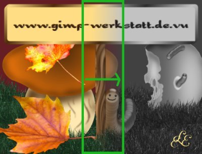 maske7.jpeg